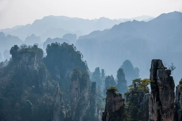 Хунань Zhangjiajie National Forest Park Shentang Bay краєвид — стокове фото