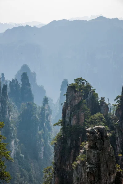 Хунань Zhangjiajie National Forest Park Shentang Bay краєвид — стокове фото