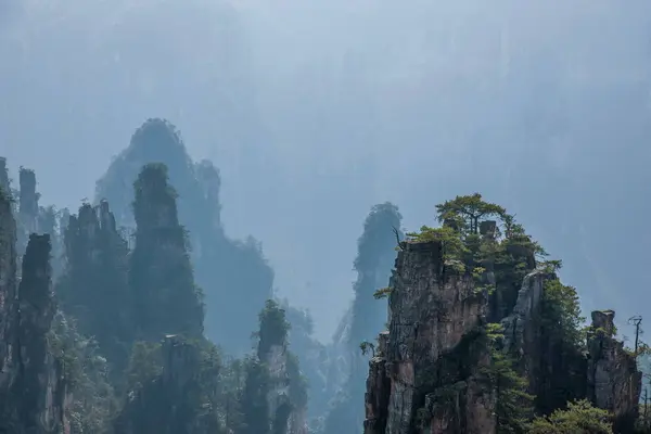 湖南张家界国家森林公园神堂湾景观 — 图库照片