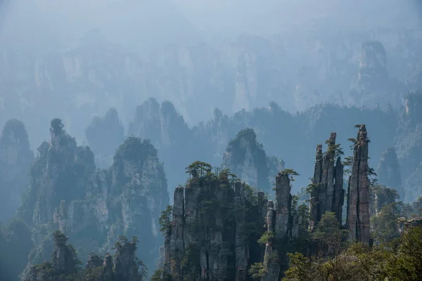 หูหนาน Zhangjiajie สวนป่าแห่งชาติ Tianzishan Yubi จุดสูงสุด — ภาพถ่ายสต็อก