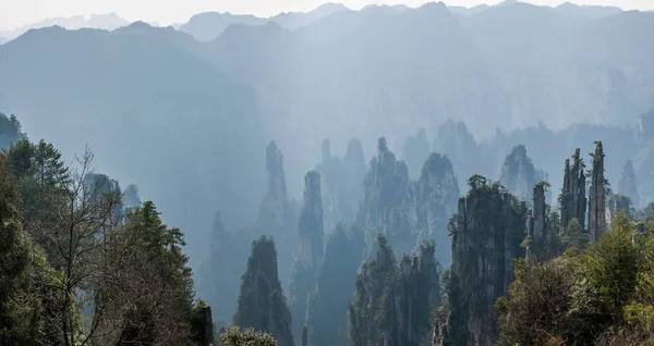 Hunan Zhangjiajie Parque Nacional Forestal Pico de Tianzishan Yubi — Foto de Stock