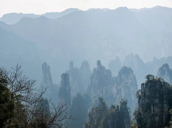 หูหนาน Zhangjiajie สวนป่าแห่งชาติ Tianzishan Yubi จุดสูงสุด — ภาพถ่ายสต็อก