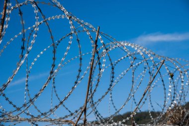 Pekin kokulu Hill Park Road duvarın yanında