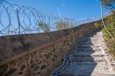 Pekin kokulu Hill Park Road duvarın yanında