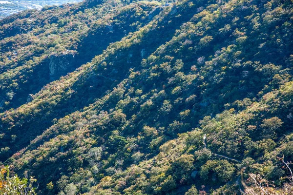 Beijing Xiangshan Park aan de voet van de Xiangshan — Stockfoto