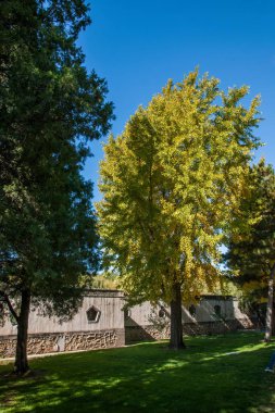 Pekin Yaz Sarayı Kunming Gölü