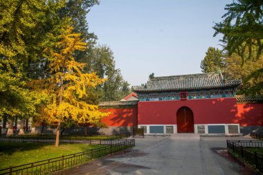Pekin Beihai Park sonbahar