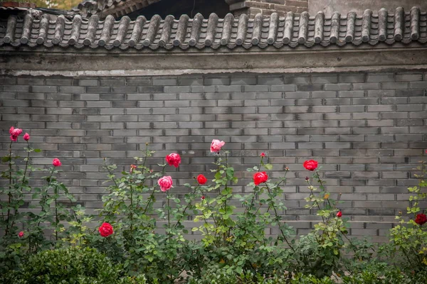 Die Hutong-Kultur der beijinger Häuser in Peking — Stockfoto