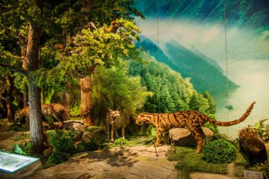 Chongqing üç Gorges Müzesi üç Gorges geçmiş salonu 