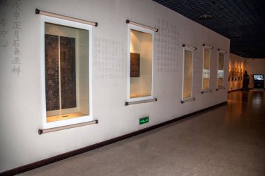 Chongqing Baihe Liang sualtı Müzesi