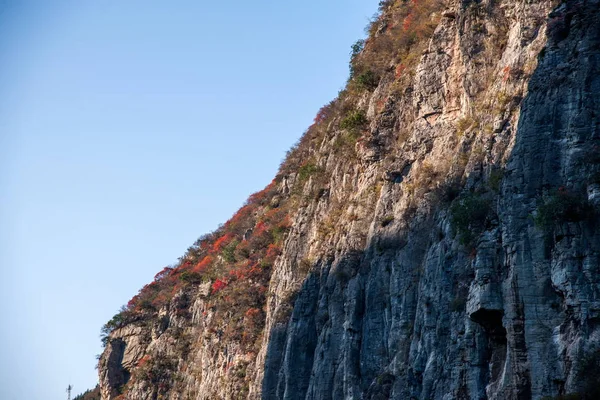 Rio Yangtze Três desfiladeiros Qutangxia Canyon folhas — Fotografia de Stock