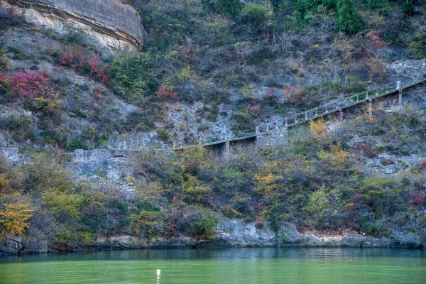 Yangtze River Three Gorges Qutangxia Canyon leaves