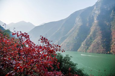 Yangtze Nehri üç Gorges Wu Gorge