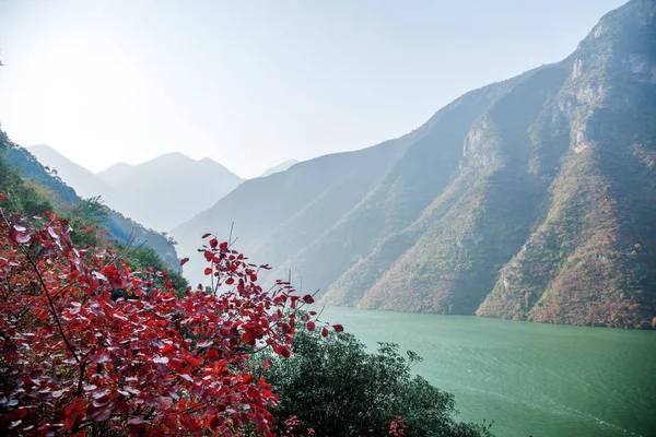 Río Yangtze Tres gargantas Garganta de Wu —  Fotos de Stock