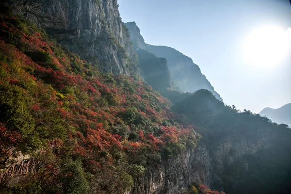 Янцзи три ущелини відьма Долина каньйон річки Wushan червоні листи — стокове фото