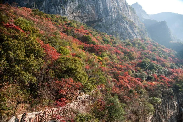 Yangtze Nehri üç Gorges cadı Vadisi Kanyon Wushan kırmızı yaprakları — Stok fotoğraf