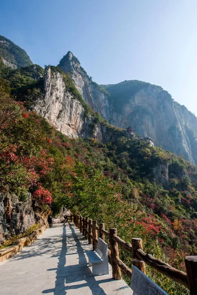 Río Yangtze Tres gargantas Witch Valley Canyon Wushan Red Leaves — Foto de Stock