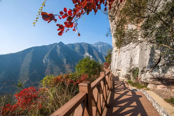 Yangtze River drie kloven heks Valley Canyon Aziatische rode bladeren — Stockfoto