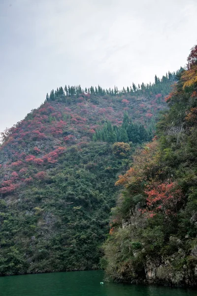 Chongqing Wushan Daning River Tres gargantas Cañón Hojas de otoño — Foto de Stock