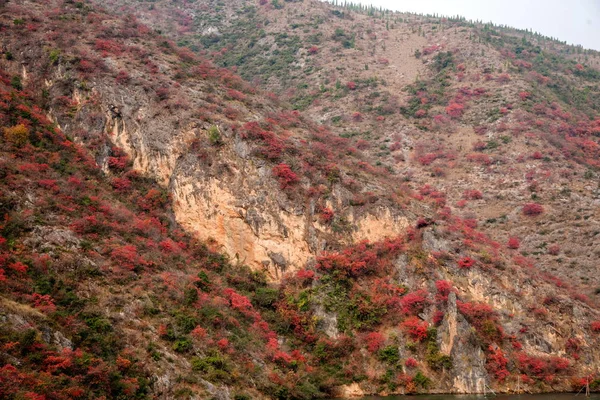 Chongqing Wushan Daning River Three Gorges Canyon Autumn leaves — Stock Photo, Image