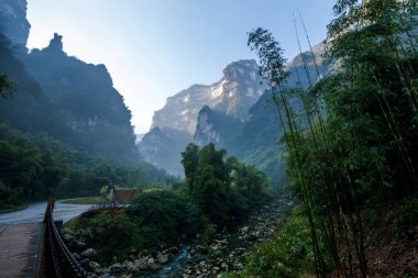 Hubei Zigui üç Gorges bambu deniz Tianshui Gap