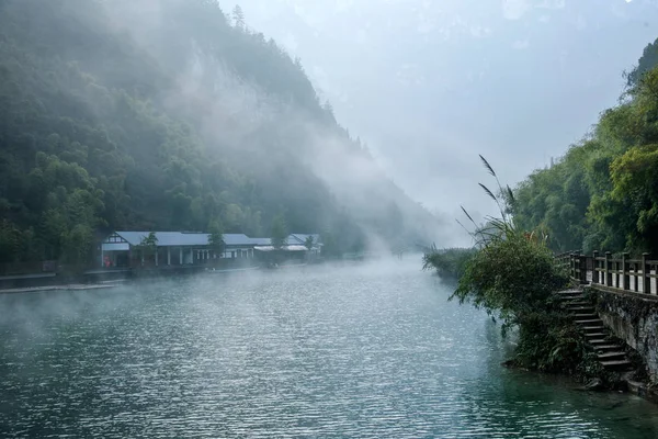 Hubei zigui drei Schluchten Bambus Meer Wasser See — Stockfoto