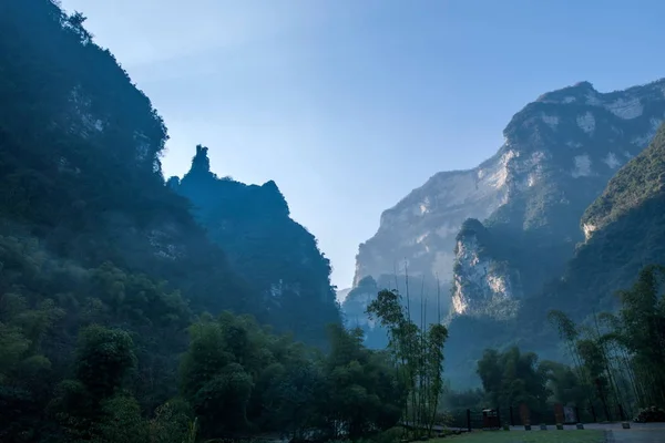 Hubei Zigui üç Gorges bambu deniz Tianshui Gap — Stok fotoğraf