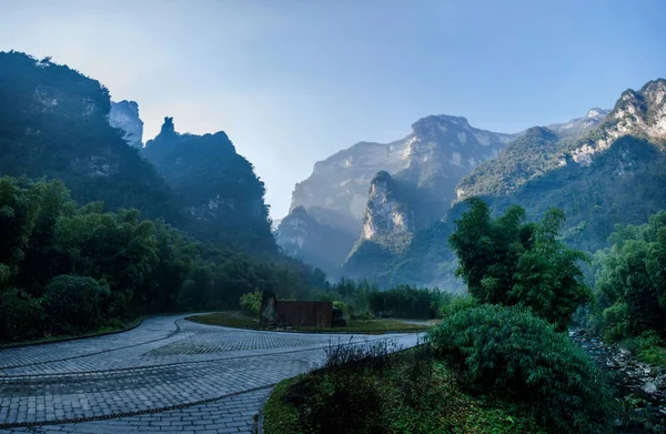 Hubei zigui drei schluchten bambus meer tianshui lücke — Stockfoto