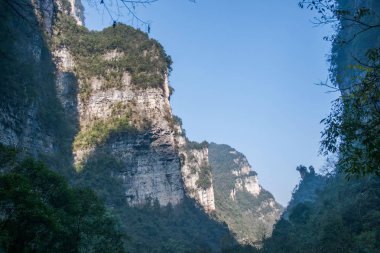 Hubei Zigui üç Gorges bambu deniz Tianshui Gap