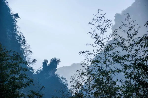 Hubei Zigui Three Gorges Bamboo Sea Tianshui Gap — Stock Photo, Image