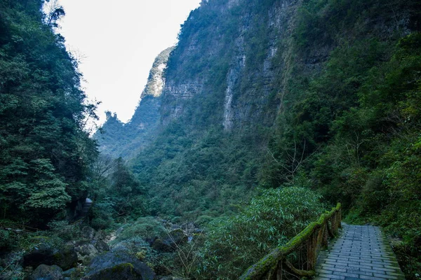 Hubei zigui drei schluchten bambus meer tianshui lücke — Stockfoto