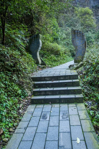 Hubei Zigui üç Gorges bambu deniz Tianshui Gap — Stok fotoğraf