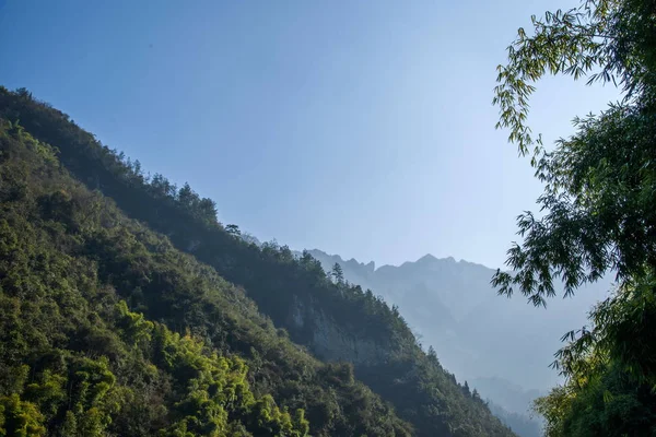 Hubei Zigui trzy wąwozy bambusa morzu Tianshui Gap — Zdjęcie stockowe