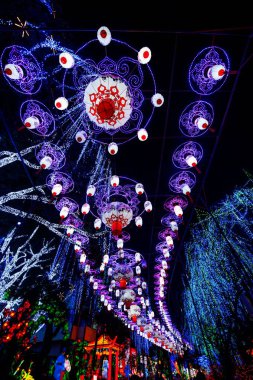 2016 Sichuan Zigong Bahar Şenliği