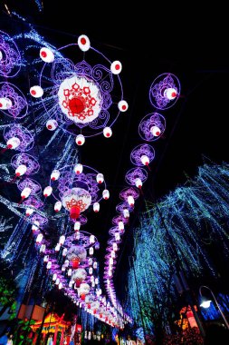 2016 Sichuan Zigong Bahar Şenliği