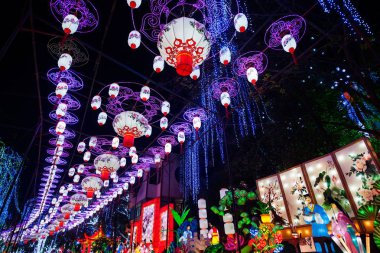 2016 Sichuan Zigong Bahar Şenliği