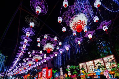 2016 Sichuan Zigong Bahar Şenliği