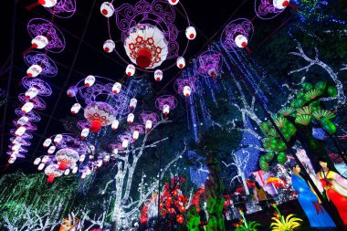 2016 Sichuan Zigong Bahar Şenliği