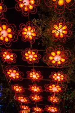 2016 Sichuan Zigong Bahar Şenliği