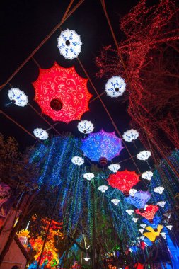 2016 Sichuan Zigong Bahar Şenliği