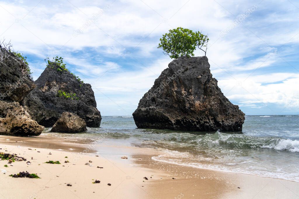 Unique tree growing on a rock in the ocean on Bingin Beach, Bali - Indonesia