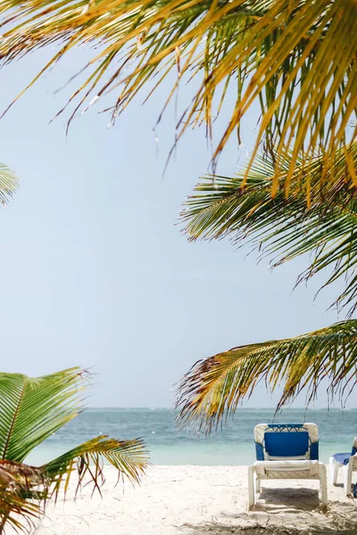 Spiaggia Tropicale Vuota Con Lettini — Foto Stock
