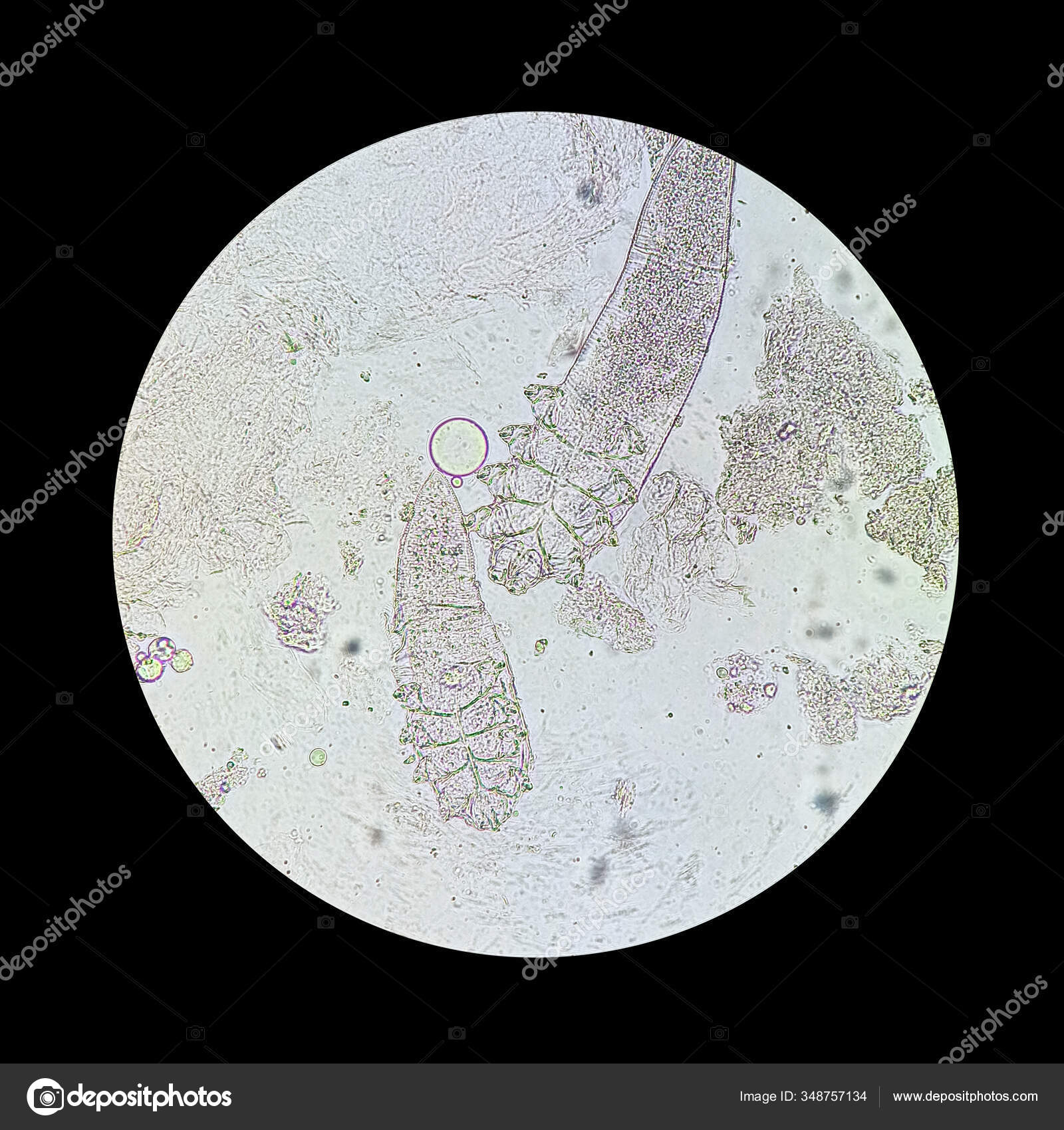 Maxfiy porno masturbatsiya