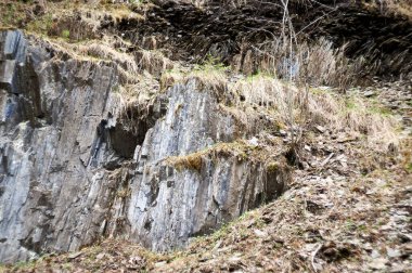 Kaya oluşumuna yakın çekim. Terk edilmiş eski bir taş ocağı.