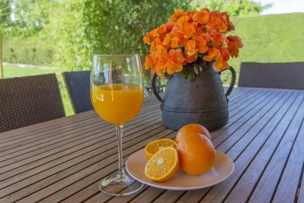 Vaso Jugo Naranja Fresco Jardín — Foto de Stock