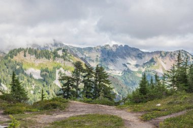 Yüksek dağın tepesindeki bir çift Noel ağacı diğer dağlara bakan yoğun yağmur bulutları altında
