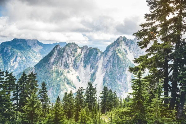 Velmi Vysoké Skalnaté Hory Šedými Mraky Zelenými Lesy Pokrývajícími — Stock fotografie