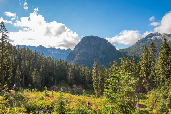 Huge mountain covered with forest with blue cloudy sky on the background