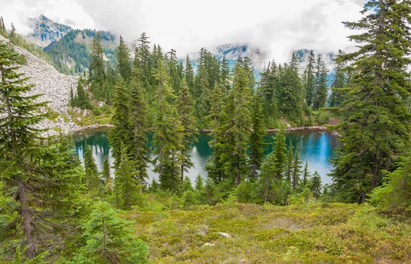 Lac Montagne Bleu Entre Les Arbres Sur Montagne — Photo