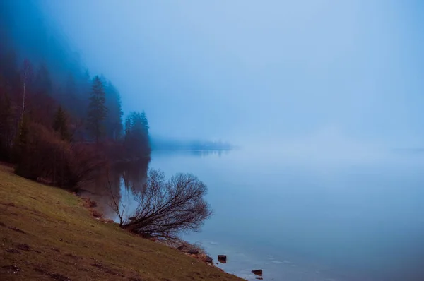 Nebliger Morgen am Rande des ruhigen Sees in den österreichischen Alpen — Stockfoto